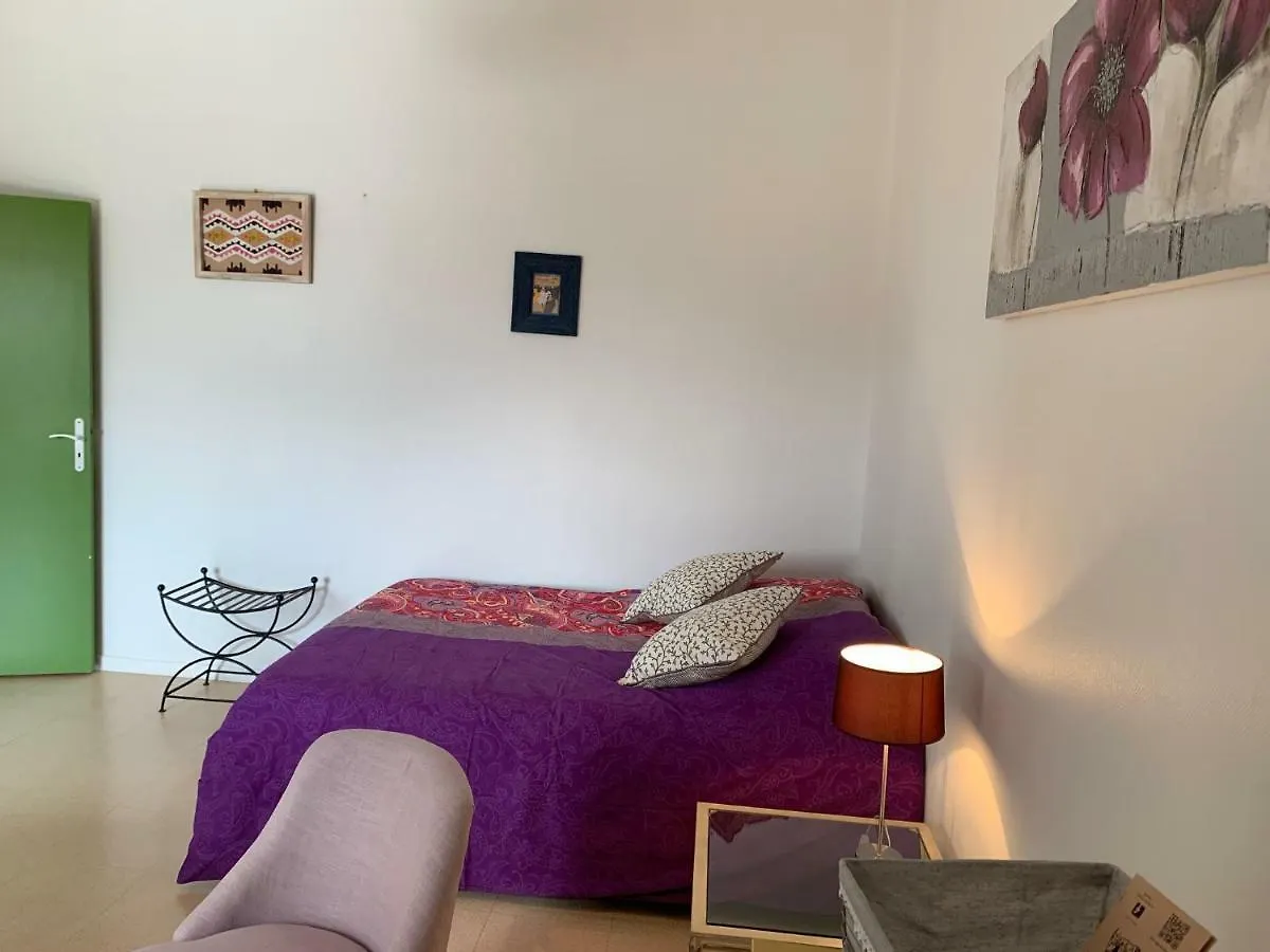 Studio Coeur Historique Albigeois Apartment Albi