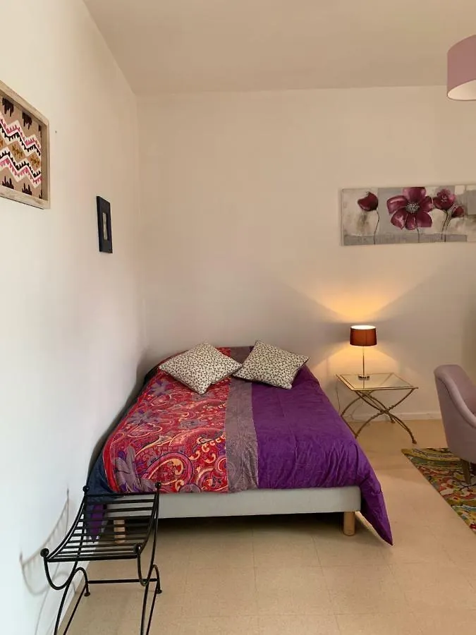 Studio Coeur Historique Albigeois 0*, Albi